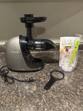 Amzchef Slow Masticating Juicer – Gray